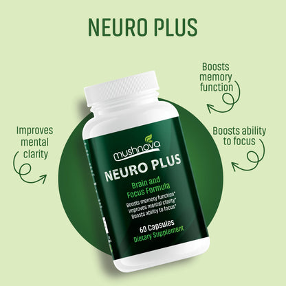 Mushnova brain focus