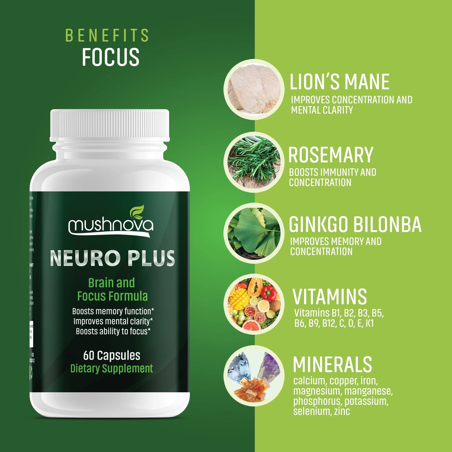 Mushnova brain focus