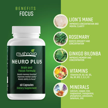 Mushnova brain focus