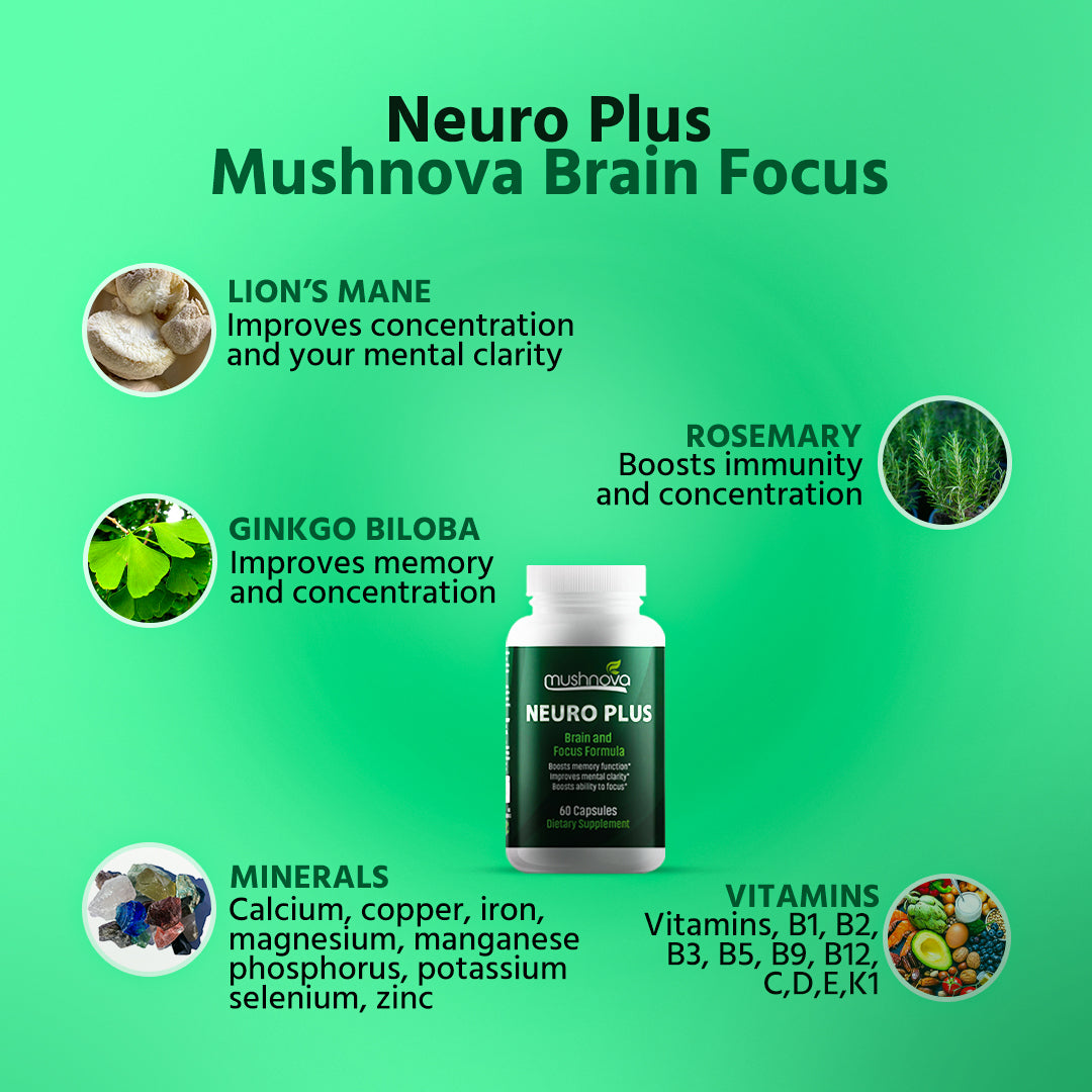 Mushnova brain focus